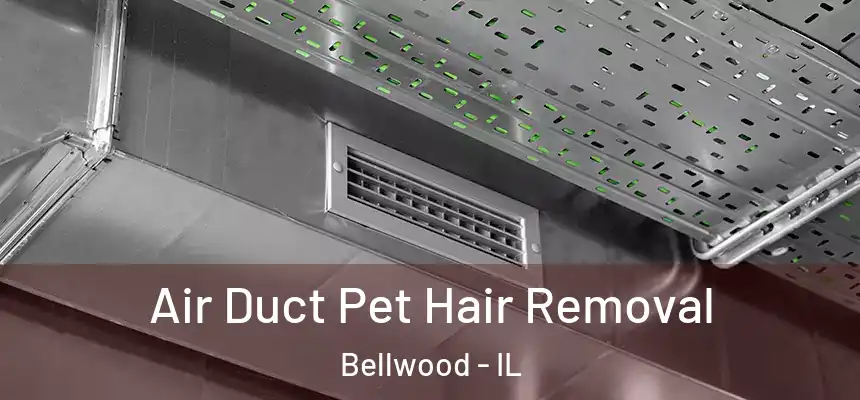  Air Duct Pet Hair Removal Bellwood - IL