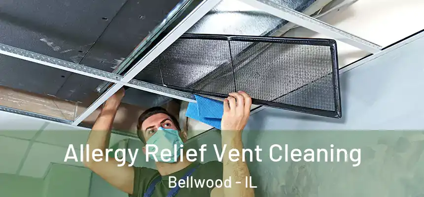 Allergy Relief Vent Cleaning Bellwood - IL