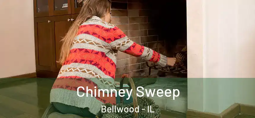  Chimney Sweep Bellwood - IL