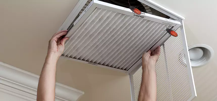 Preventive Cockroach-Proofing for Ducts in Bellwood