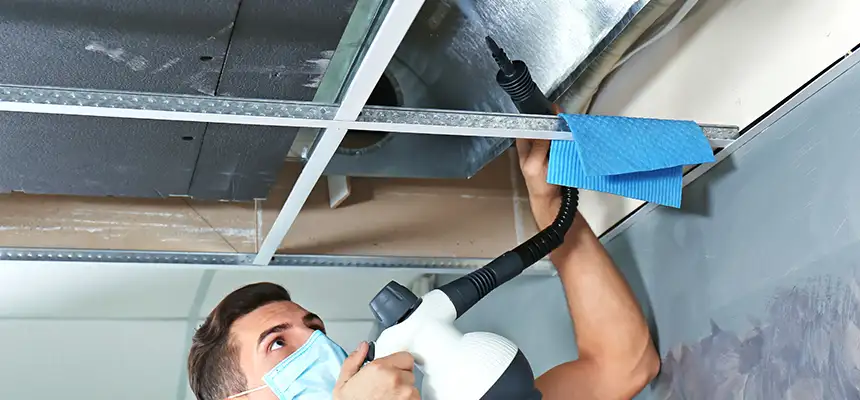 Our Air Duct Rodent Removal Services in Bellwood, IL