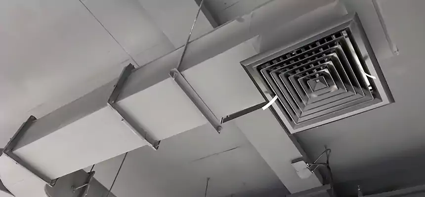 Restorative Allergy Relief Vent Cleaning – Coil, Blower & Housing Detail in Bellwood