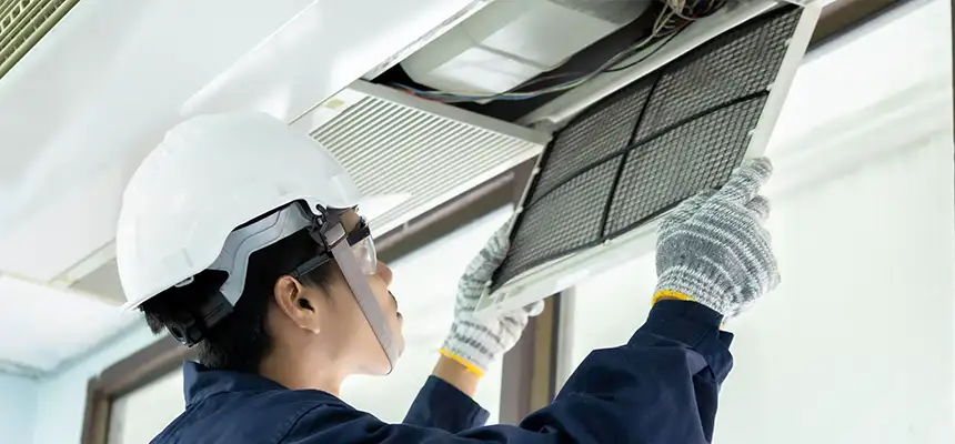 Our Lint Trap Cleaning Service Services in Bellwood, IL