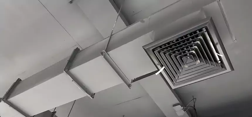 Our Rodent Droppings In Vents Services in Bellwood, IL