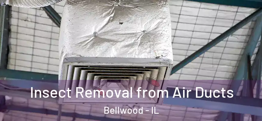  Insect Removal from Air Ducts Bellwood - IL