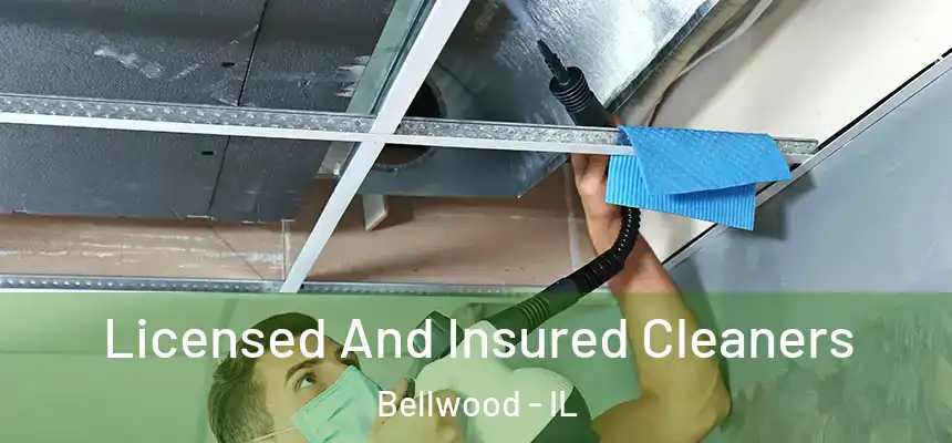  Licensed And Insured Cleaners Bellwood - IL