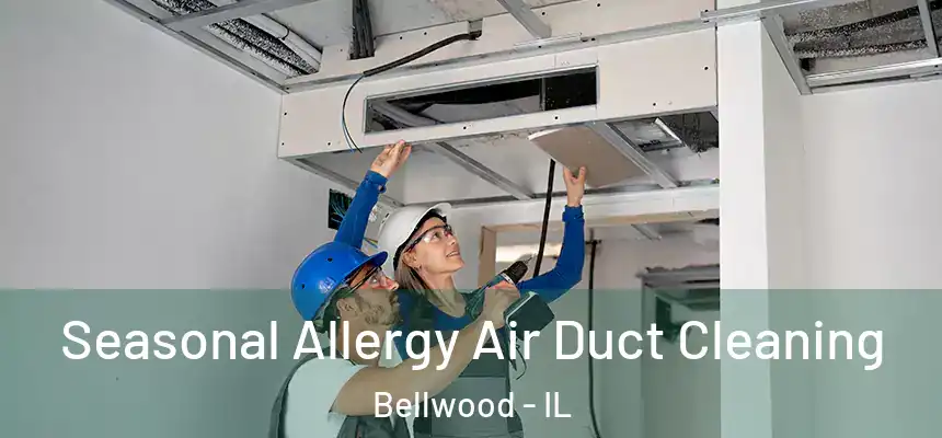  Seasonal Allergy Air Duct Cleaning Bellwood - IL