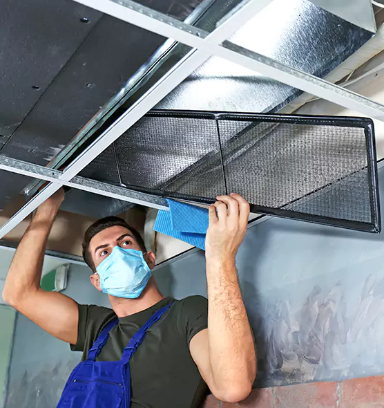 About Air Duct Bacteria Removal in Bellwood
