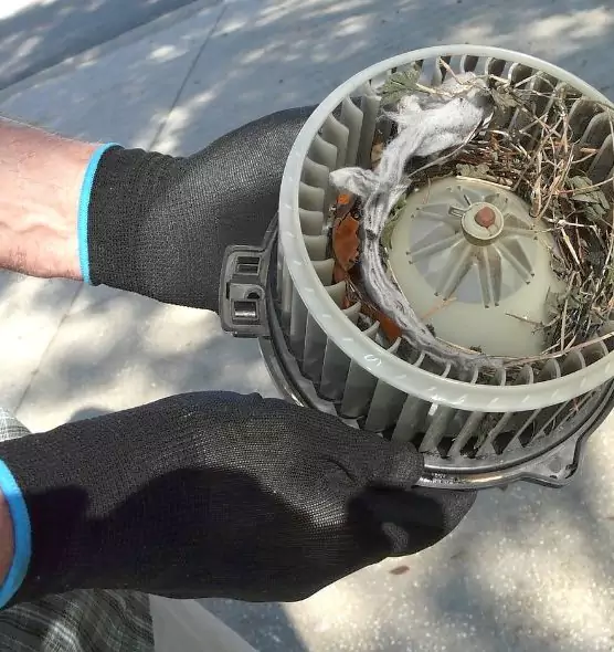 About Air Duct Mice Removal in Bellwood, IL