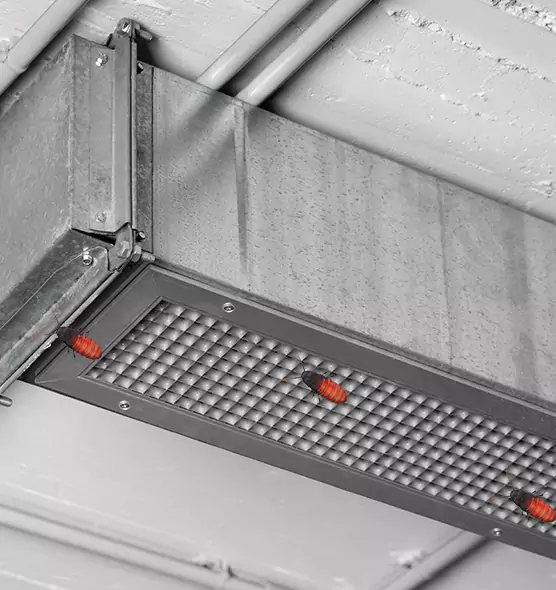 Affordable Insect Removal from Air Ducts in Bellwood, IL