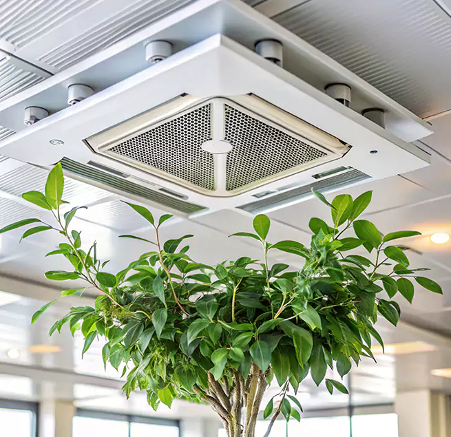 Why Homeowners & Businesses Trust Us in Bellwood, IL?