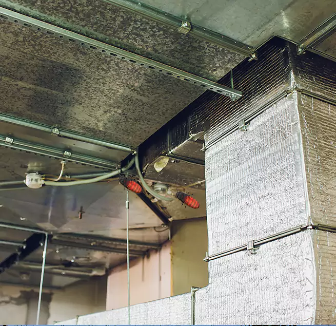 Why Homeowners & Businesses Trust Us Bellwood, IL?