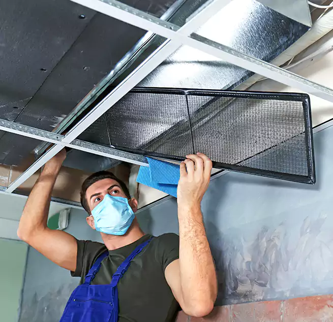 Why Homeowners Businesses Trust Us in Bellwood, IL